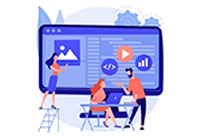Which sector performs best in Web development Transformation
